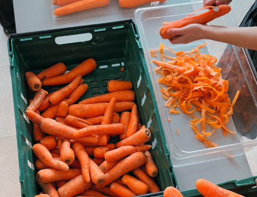 About Food Waste
